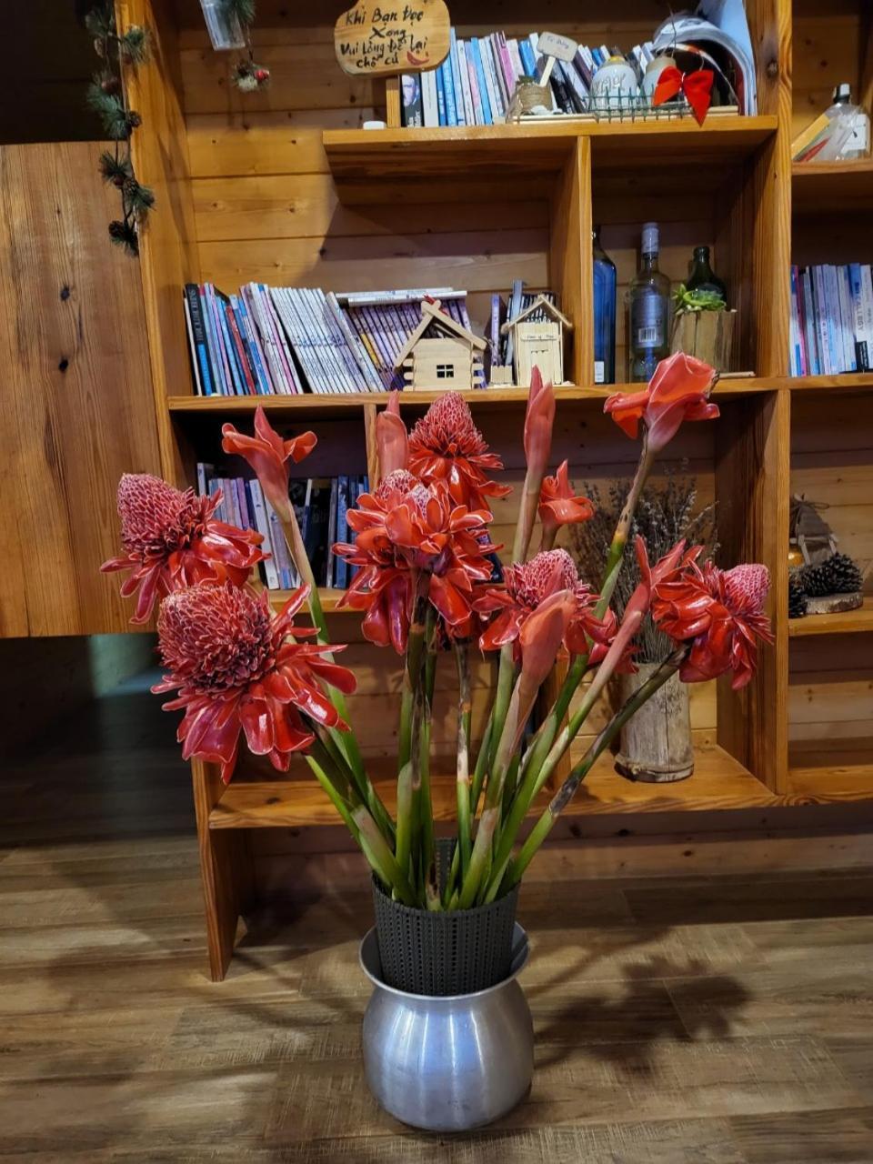 Tà Đùng May Farm Bidong Ngoại thất bức ảnh