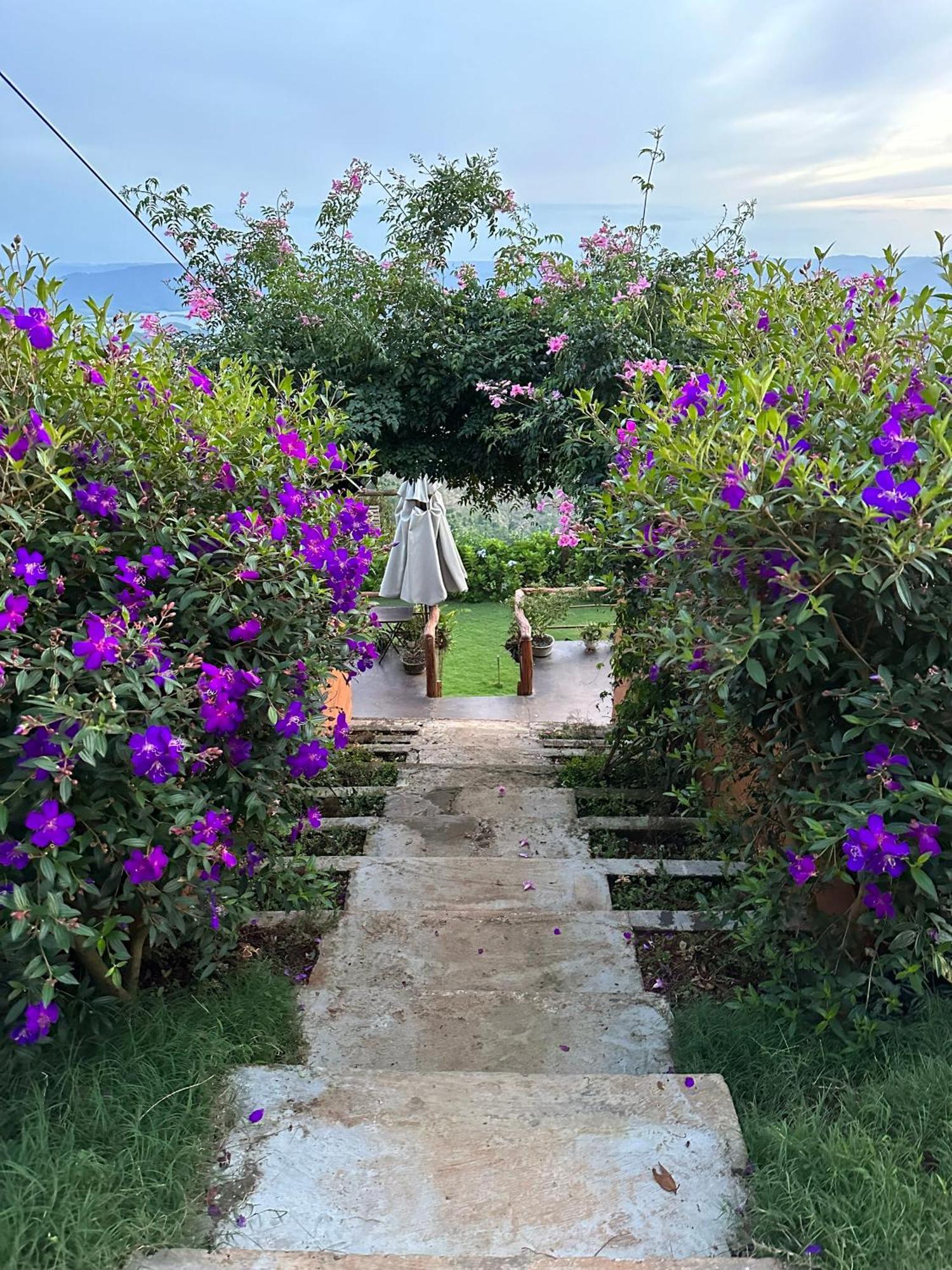 Tà Đùng May Farm Bidong Ngoại thất bức ảnh